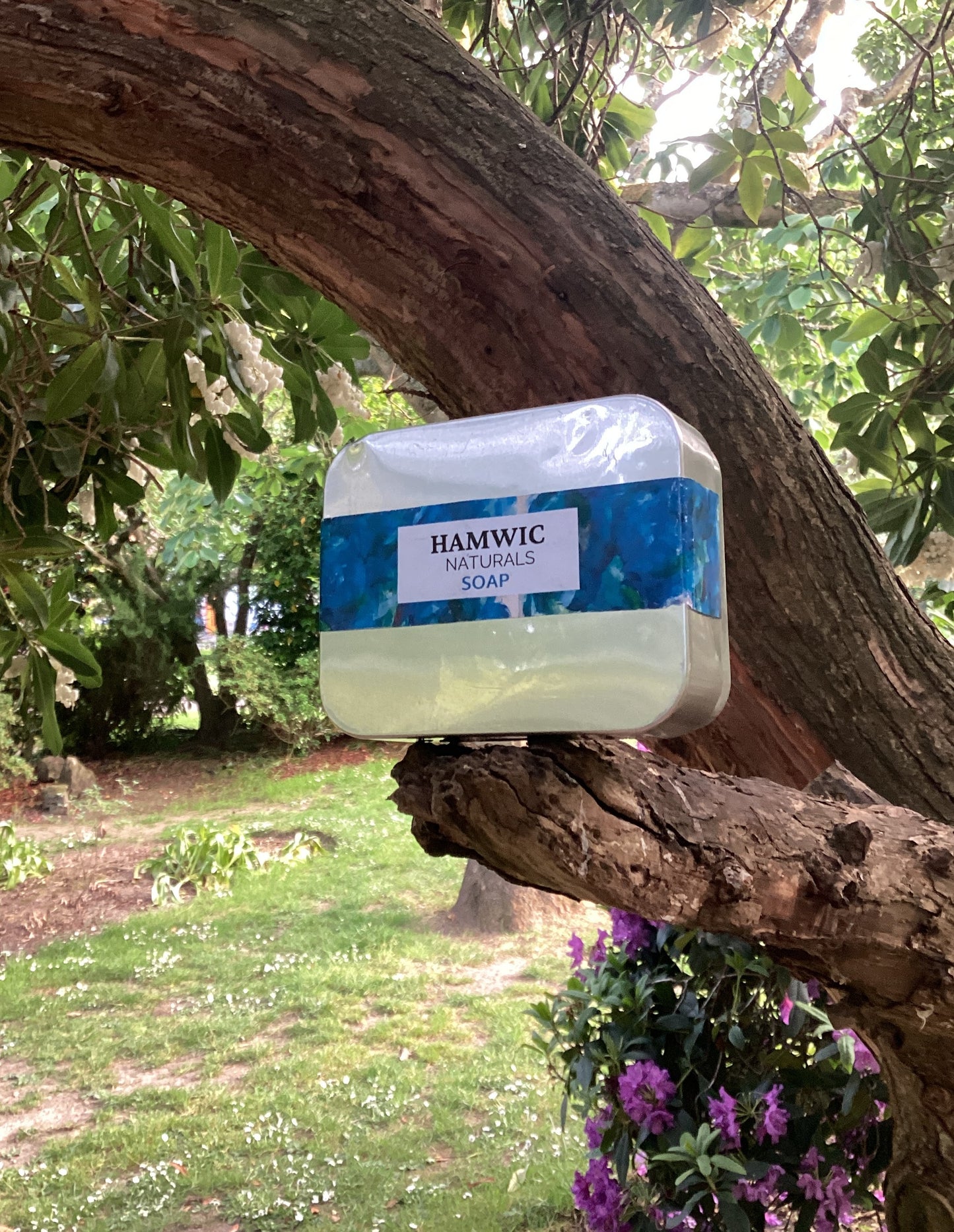 Hamwic Naturals | Lyrical  Blue Soap